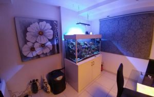 ACROPOLI 500L MARINE