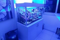 1acro500lmarine-1-scaled