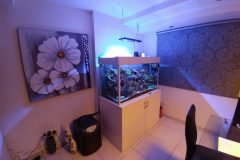 3acro500lmarine-1-scaled