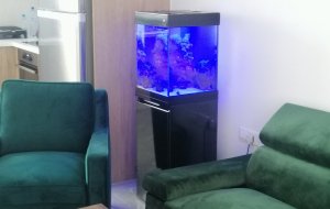 AG. ATHANASIOS 70L MARINE