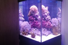 1AGIOS-ATHANASIOS-70L-MARINE