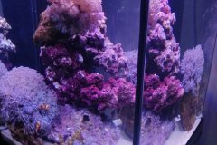 3AGIOS-ATHANASIOS-70L-MARINE