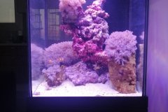 4AGIOS-ATHANASIOS-70L-MARINE