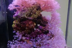 5AGIOS-ATHANASIOS-70L-MARINE