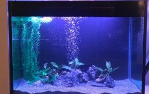 AG. DOMETIOS 400L FRESH