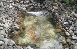 AG. FILAKSEOS 17000L POND