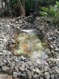 1-AG.-FILAKSEOS-17000L-POND