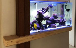 AGIA NAPA 800L MARINE