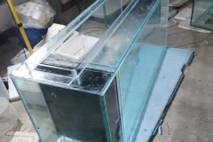 6agianapa800mar-scaled