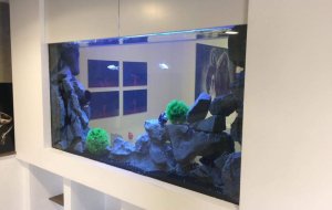 AGIOS ANTONIOS 300L FRESH