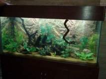 1AGIOS-SPIRIDONAS-600L-FRESH