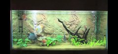 2AGIOS-SPIRIDONAS-600L-FRESH