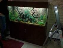 4AGIOS-SPIRIDONAS-600L-FRESH