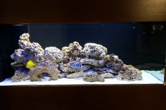 10AGIOS-TIXONAS550L-MARINE