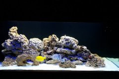 1AGIOS-TIXONAS550L-MARINE