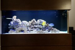 3AGIOS-TIXONAS550L-MARINE