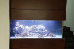 5AGIOS-TIXONAS550L-MARINE