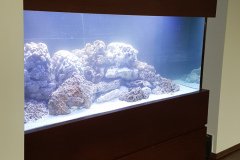 6AGIOS-TIXONAS550L-MARINE