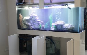 AGLANTZIA 800L FRESH