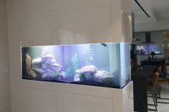 1-AGLANTZIA-800L-FRESH