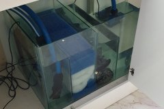 6-AGLANTZIA-800L-FRESH