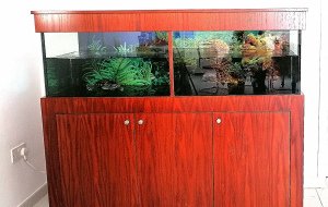 AKROPOLI 300L TURTLE