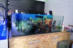 3AKROPOLI-300L-TURTLE