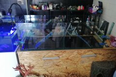 5AKROPOLI-300L-TURTLE