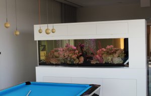 ARXAGGELOS 1600L FRESH