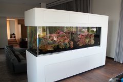 3-ARXAGGELOS-1600L-FRESH