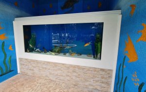 CAMEL PARK MAZOTOS 2000L FRESH