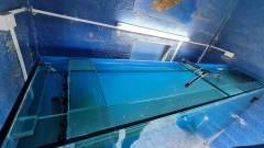 10-CAMEL-PARK-MAZOTOS