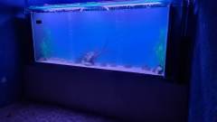 3-CAMEL-PARK-MAZOTOS