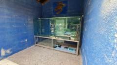 5-CAMEL-PARK-MAZOTOS