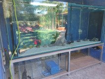 6-CAMEL-PARK-MAZOTOS