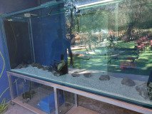 7-CAMEL-PARK-MAZOTOS