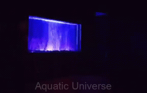 DOUBLE AERATED AQUARIUMS 2X300L