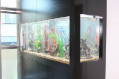 1-EGKOMI-1150L-FRESH