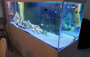 ERIMI 1000L FRESH