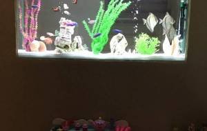 GERI 230L FRESH