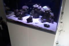 12-GERI-260L-MARINE