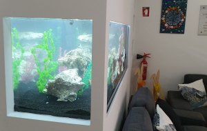 GERI 700L FRESHWATER