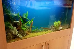 1GERMASOGIA-200L-FRESH