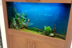 2GERMASOGIA-200L-FRESH