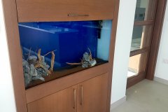 5GERMASOGIA-200L-FRESH