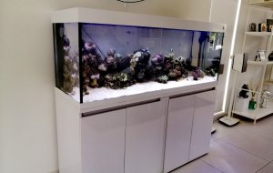GERMASOGIA 500L MARINE