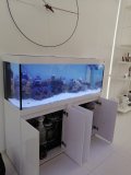 3-GERMASOGIA-500L-MARINE