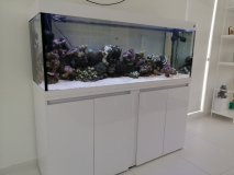 6-GERMASOGIA-500L-MARINE