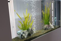 1ILIOUPOLI-230L-FRESHWATER