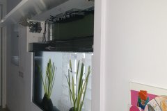 31-ILIOUPOLI-230L-FRESHWATER